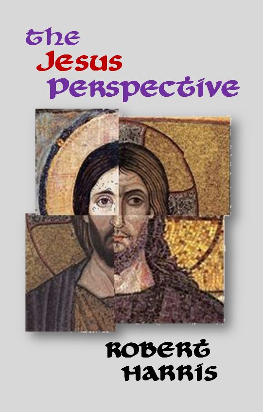 The Jesus Perspective cover